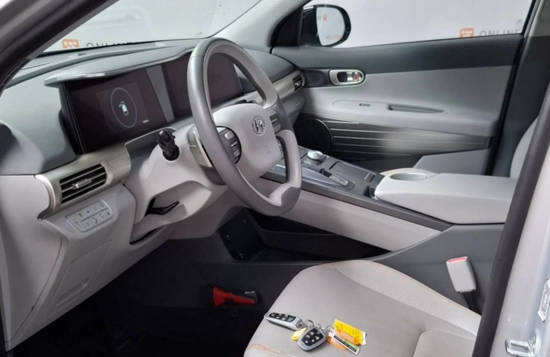 Hyundai Nexo Domeinen